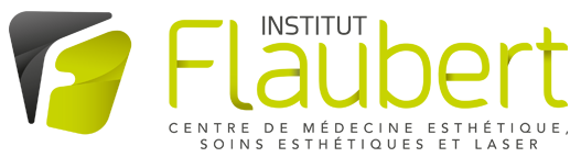 Institut Flaubert